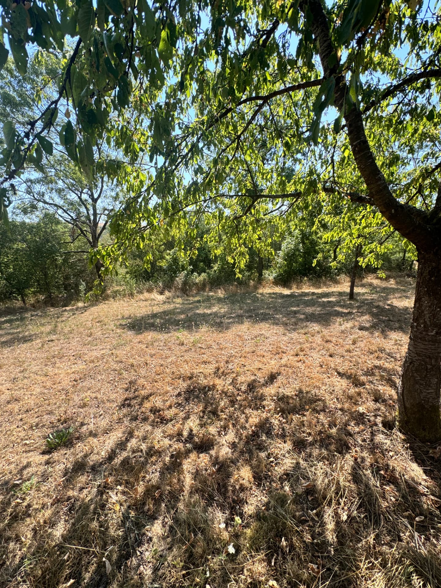 Grundstück in Niederstetten